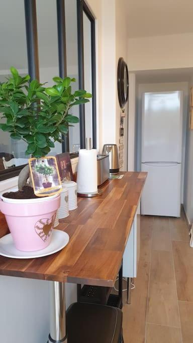 Le Doux Voyage T3, Vue Mer, Wi Fi, Parking Gratuit Apartment